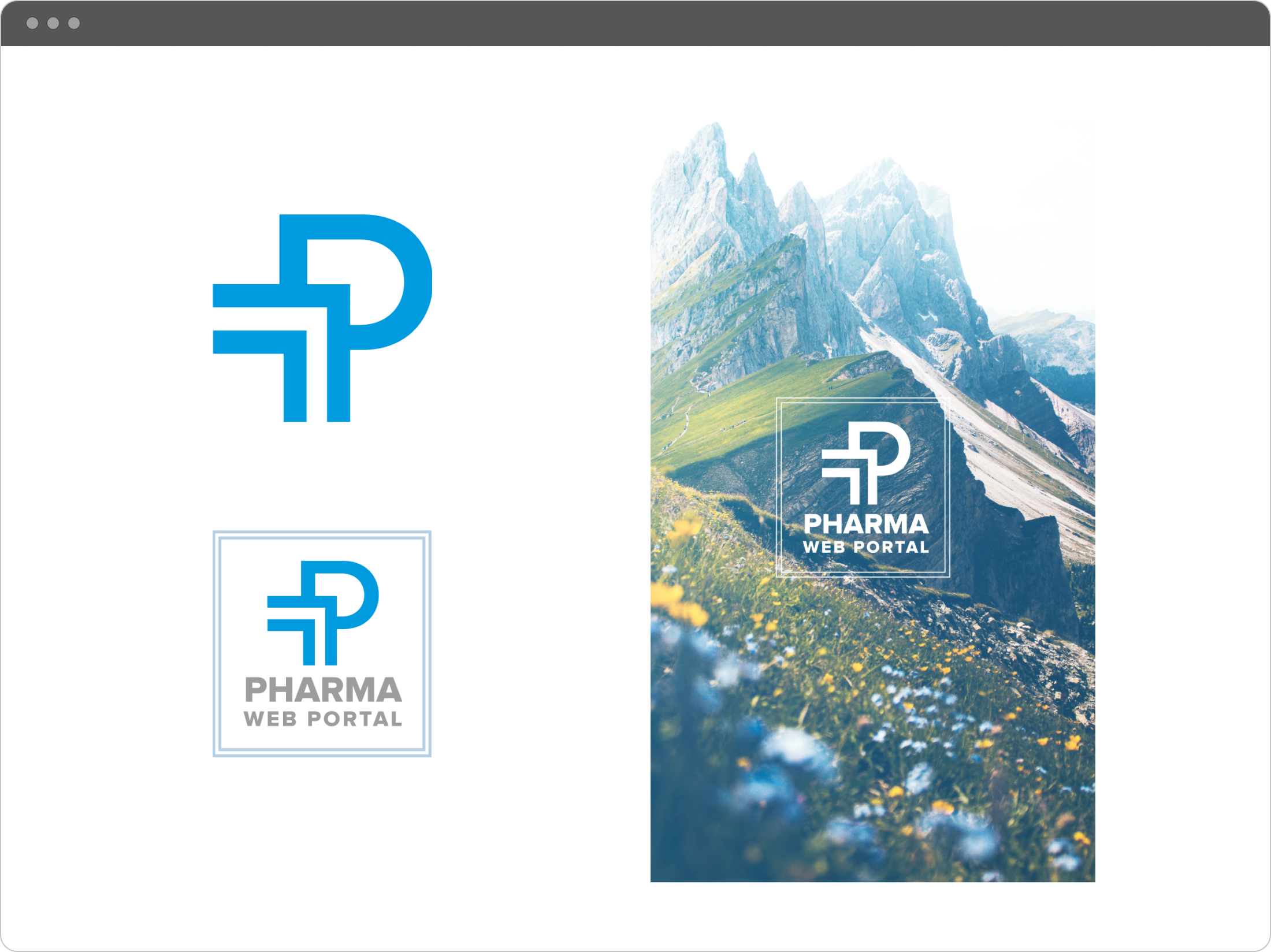 Pharma-Web-Portal-Branding